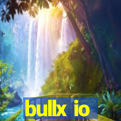 bullx io